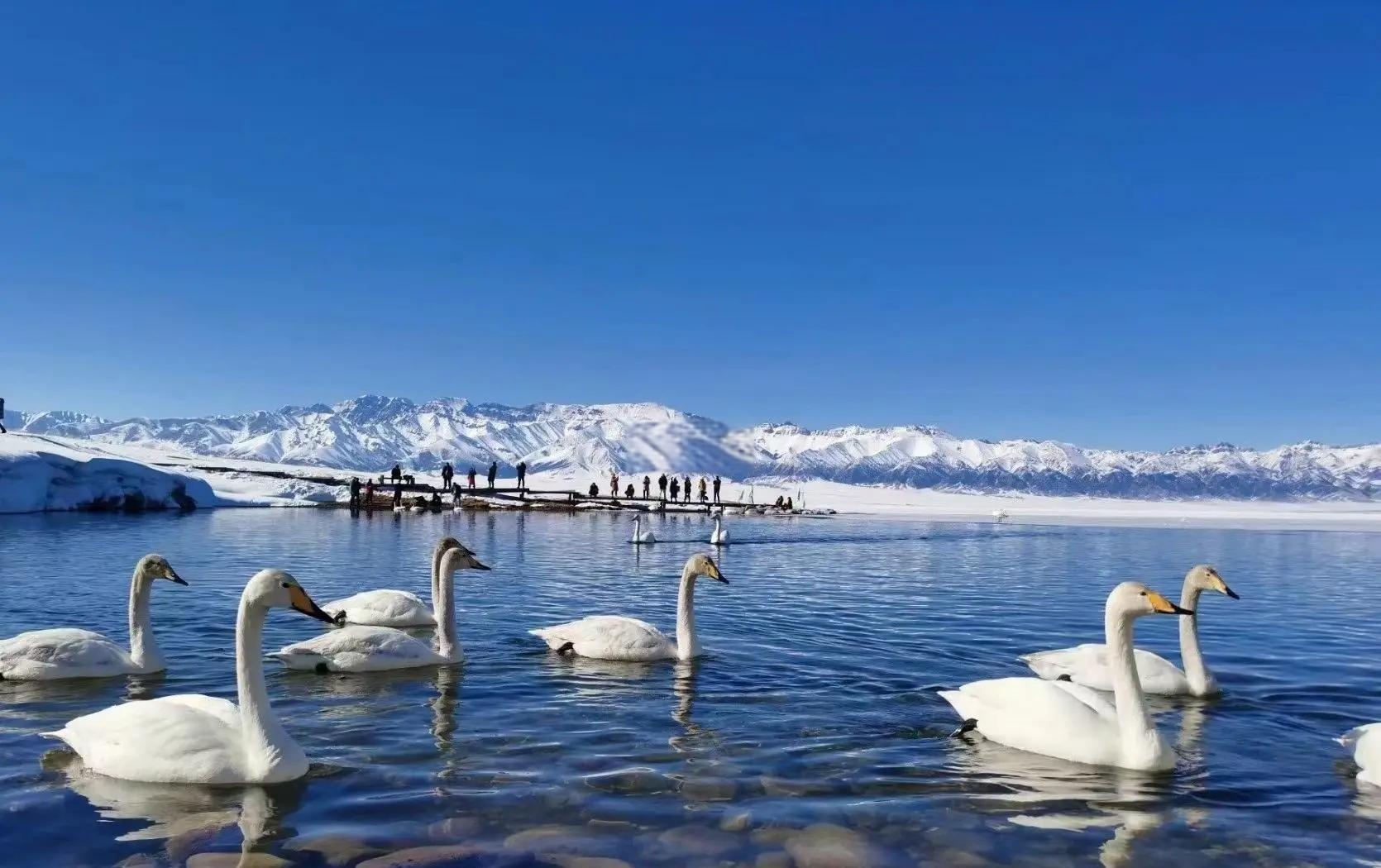 【独伊无二】伊犁全景10天9晚【14座改7座头等舱】