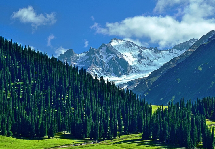 2026 楼兰专列·走遍南北疆 13日游（惠享）